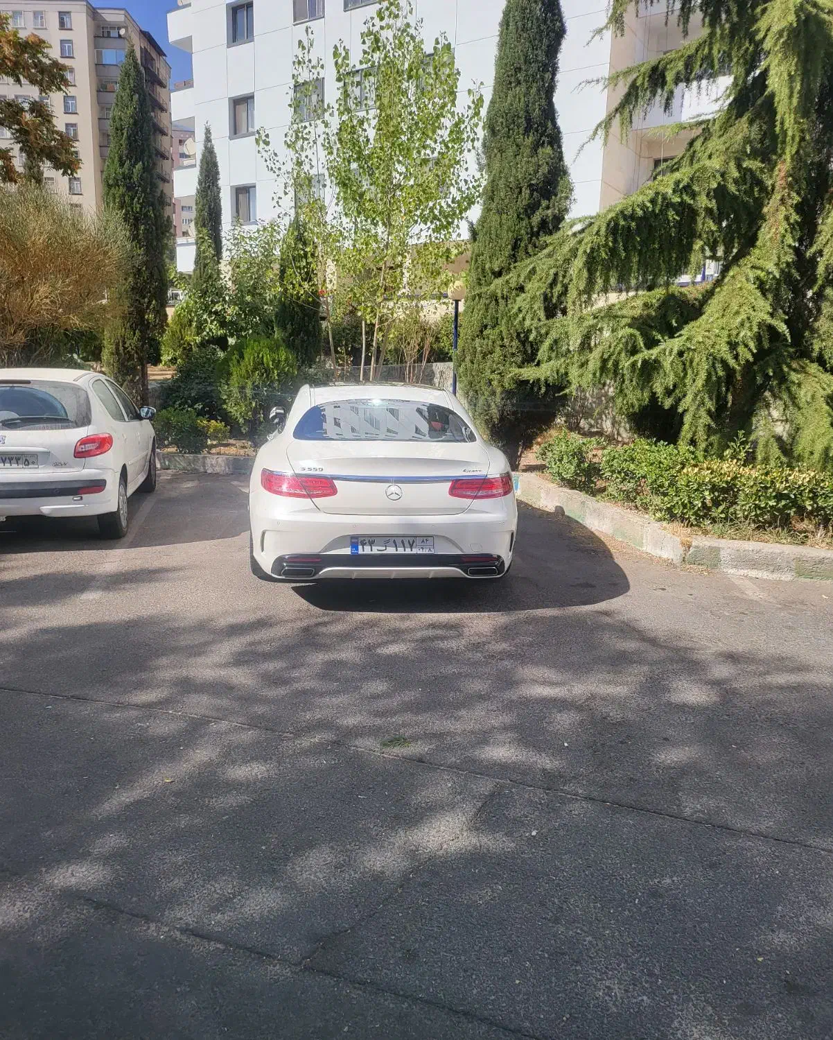 بنز s550 کوپه .گذر موقت|خودرو سواری و وانت|تهران, درختی|دیوار