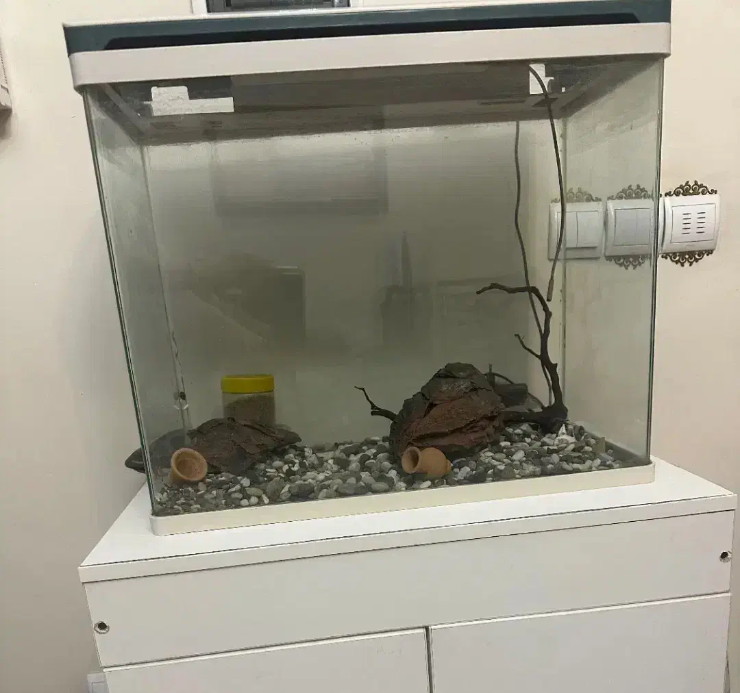 آکواریوم شرکتی فول تجهیزات|ماهی|تبریز, |دیوار