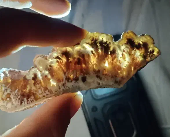 سنگ شجر ،عقیق|کلکسیون اشیاء عتیقه|یاسوج, |دیوار