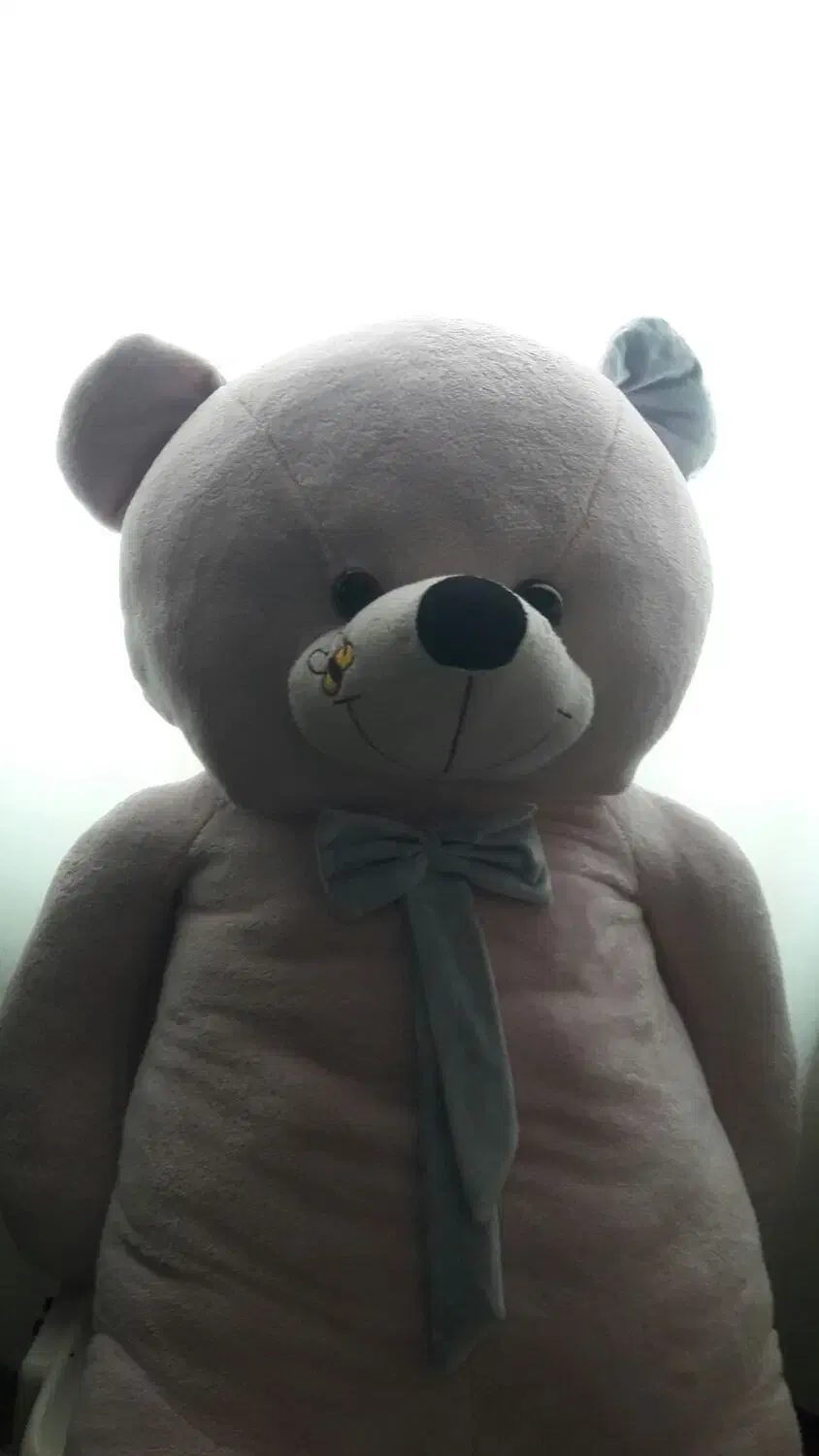 خرس عروسکی سایز بزرگ|اسباب‌‌بازی|گنبد کاووس, |دیوار