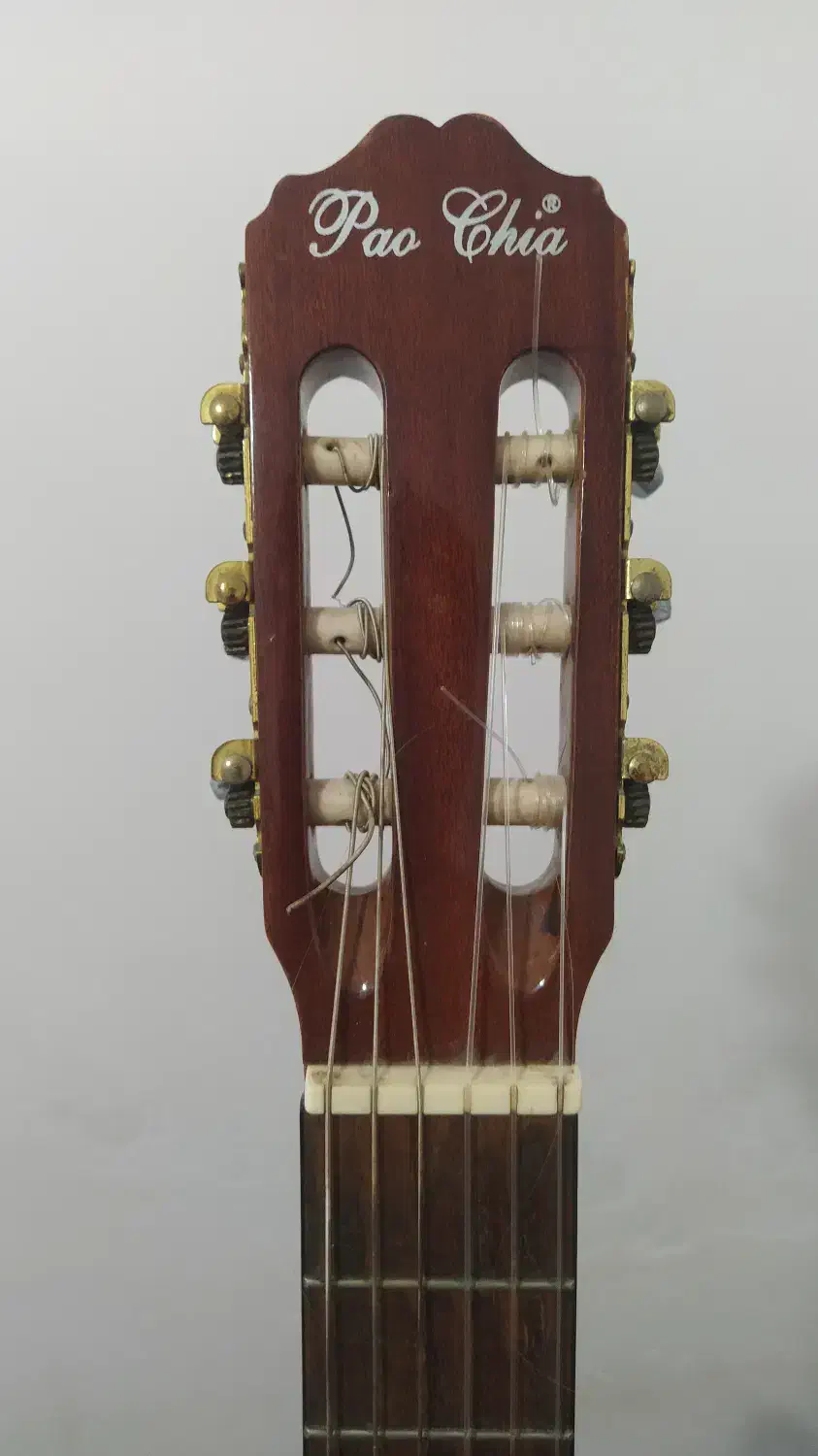 گیتار پائوچیو پروفشنال|گیتار، بیس، امپلیفایر|رامسر, |دیوار