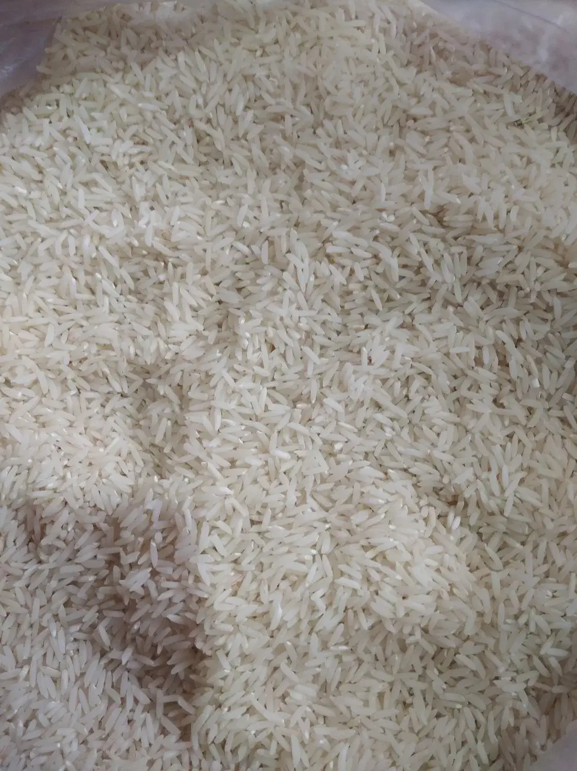 برنج هاشمی‌اعلا|خوردنی و آشامیدنی|کلاچای, |دیوار