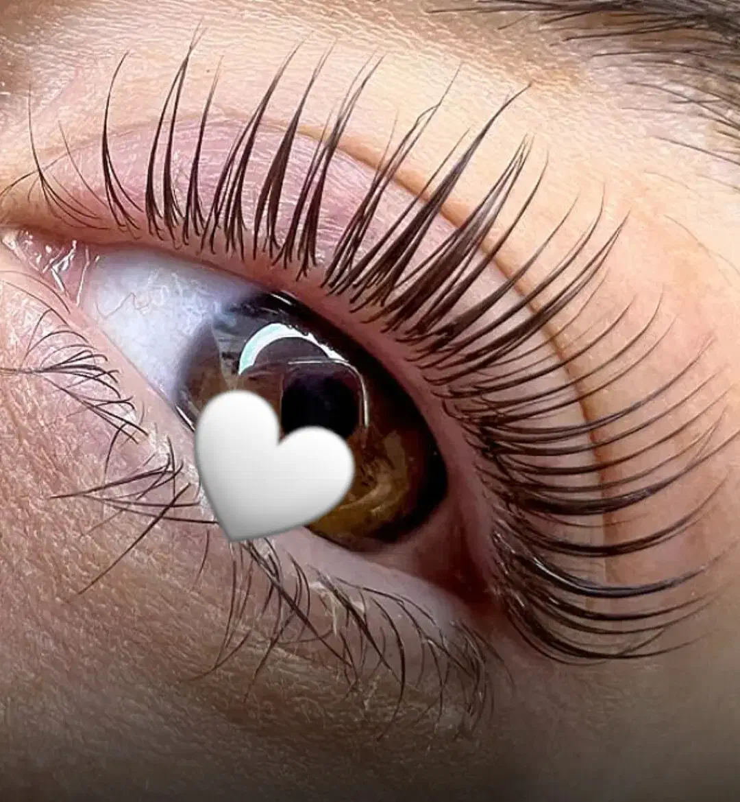 ۶۰ درصد تخفیف آموزش لیفت مژه و ابرو|خدمات آموزشی|گرگان, |دیوار
