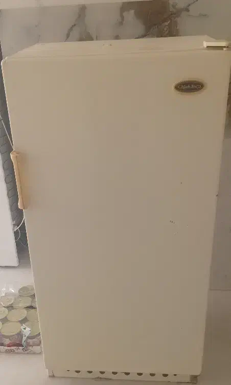 3 عدد فرش و 2 عدد یخچال|فرش|قیدار, |دیوار