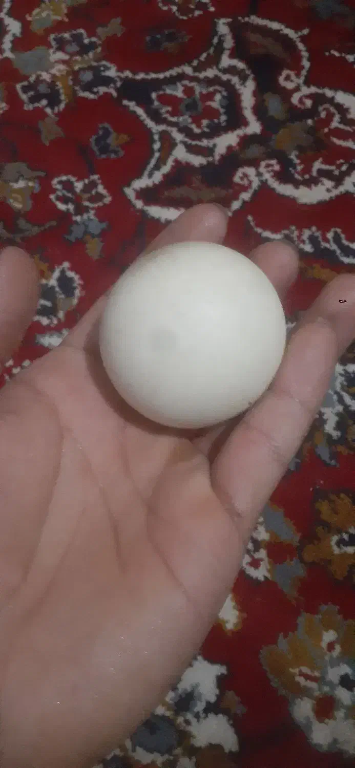 سنگ الماس اسیاب|جواهرات|تاکستان, |دیوار