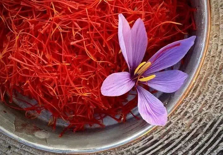 زعفران مجتهدی قیمت قدیم|خوردنی و آشامیدنی|قم, شهرک مهدیه (مدرس)|دیوار