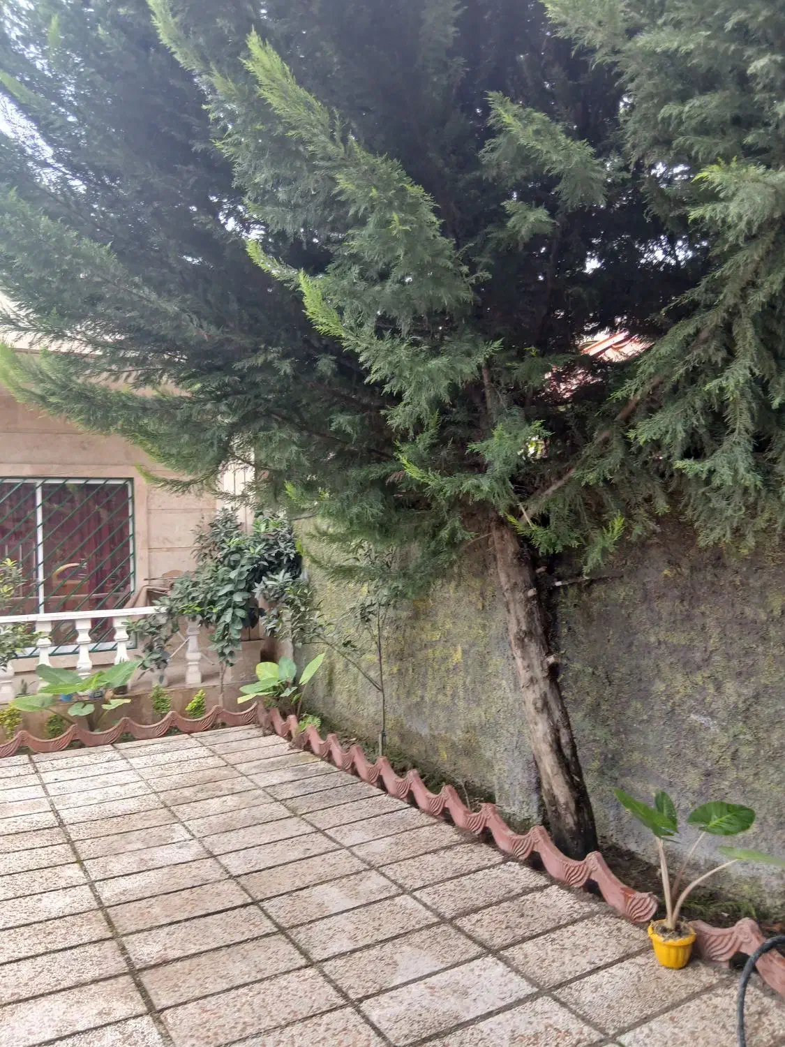 ویلا موجود در شمال شهرکی دارای نگهبان|فروش خانه و ویلا|دابودشت, |دیوار