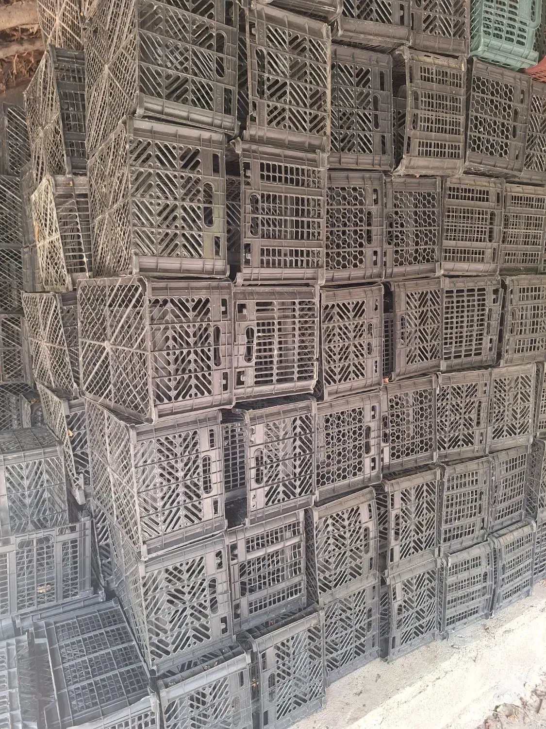 سبد میوه|ظروف نگهدارنده، پلاستیکی، یک‌بارمصرف|دزفول, |دیوار