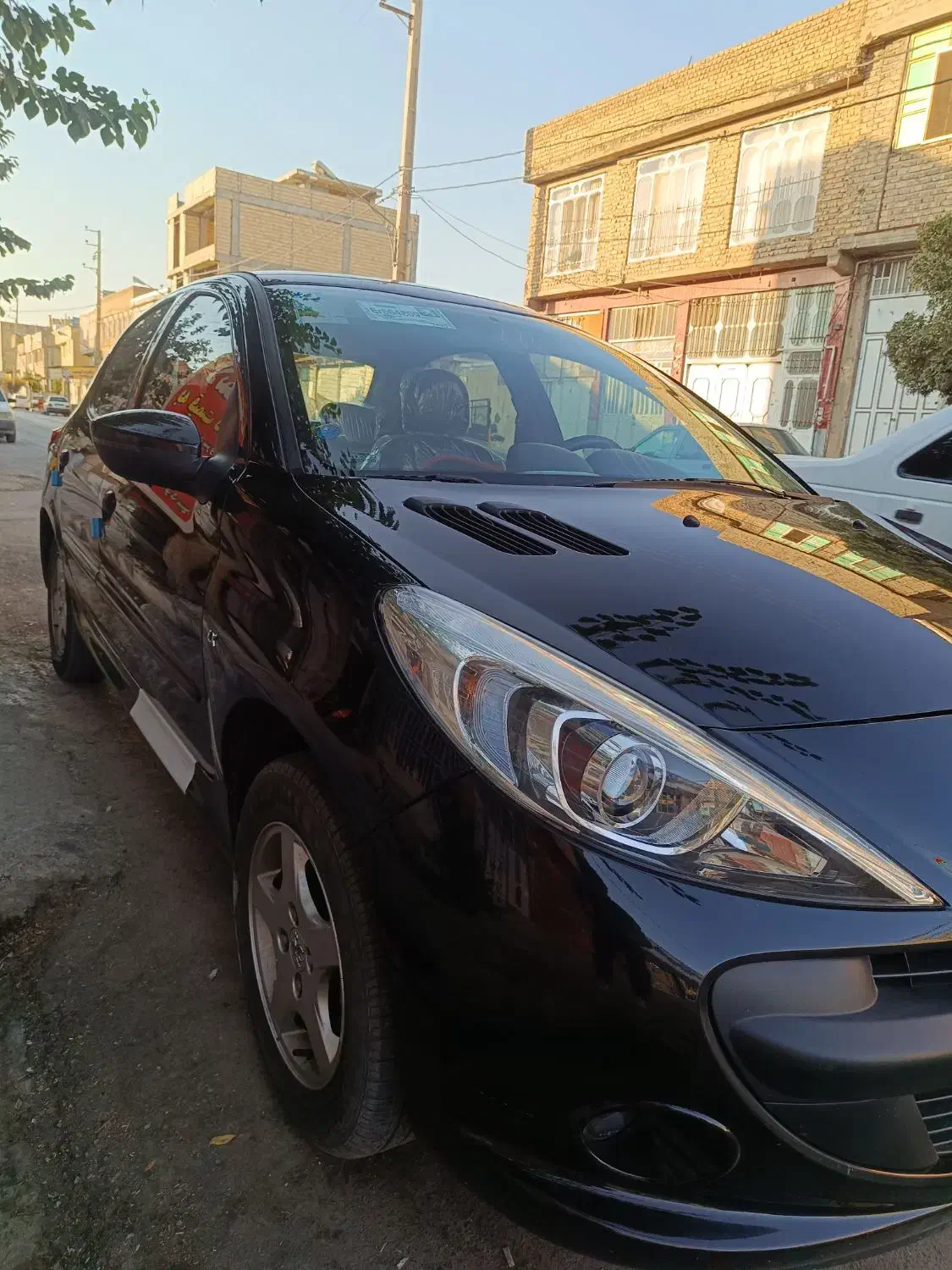 207.پانا.1401|خودرو سواری و وانت|مرودشت, ژیان|دیوار