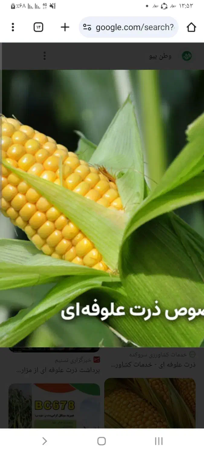 خوراک دام|عمده‌فروشی|بیرانوند, |دیوار