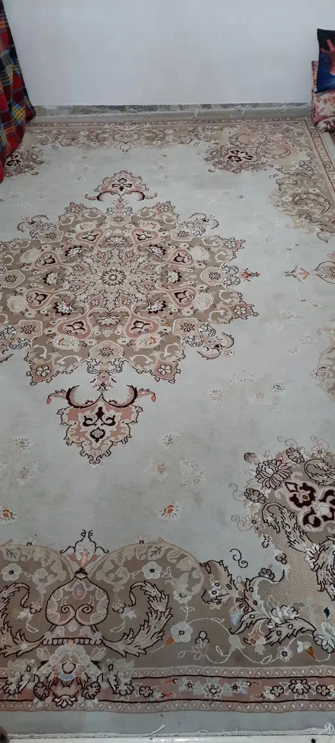 فرش در حد|فرش|قم, زاد|دیوار