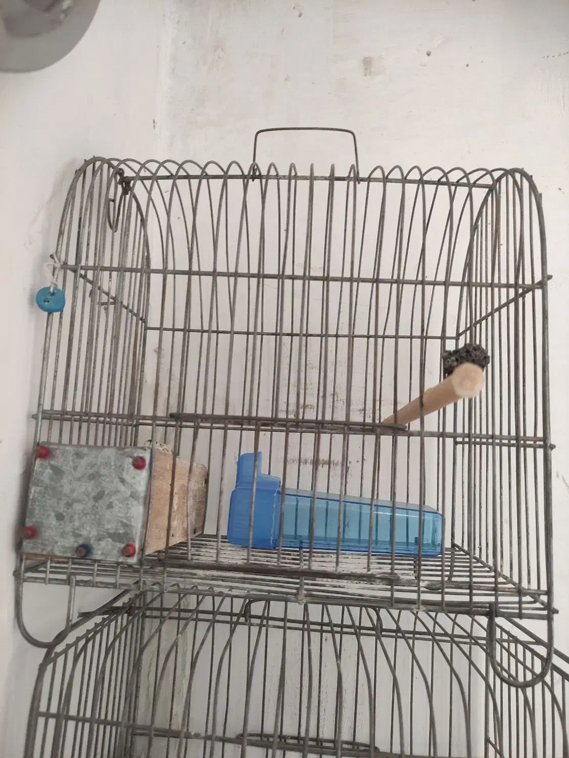 قفس سهره|لوازم جانبی حیوانات|بروجرد, |دیوار