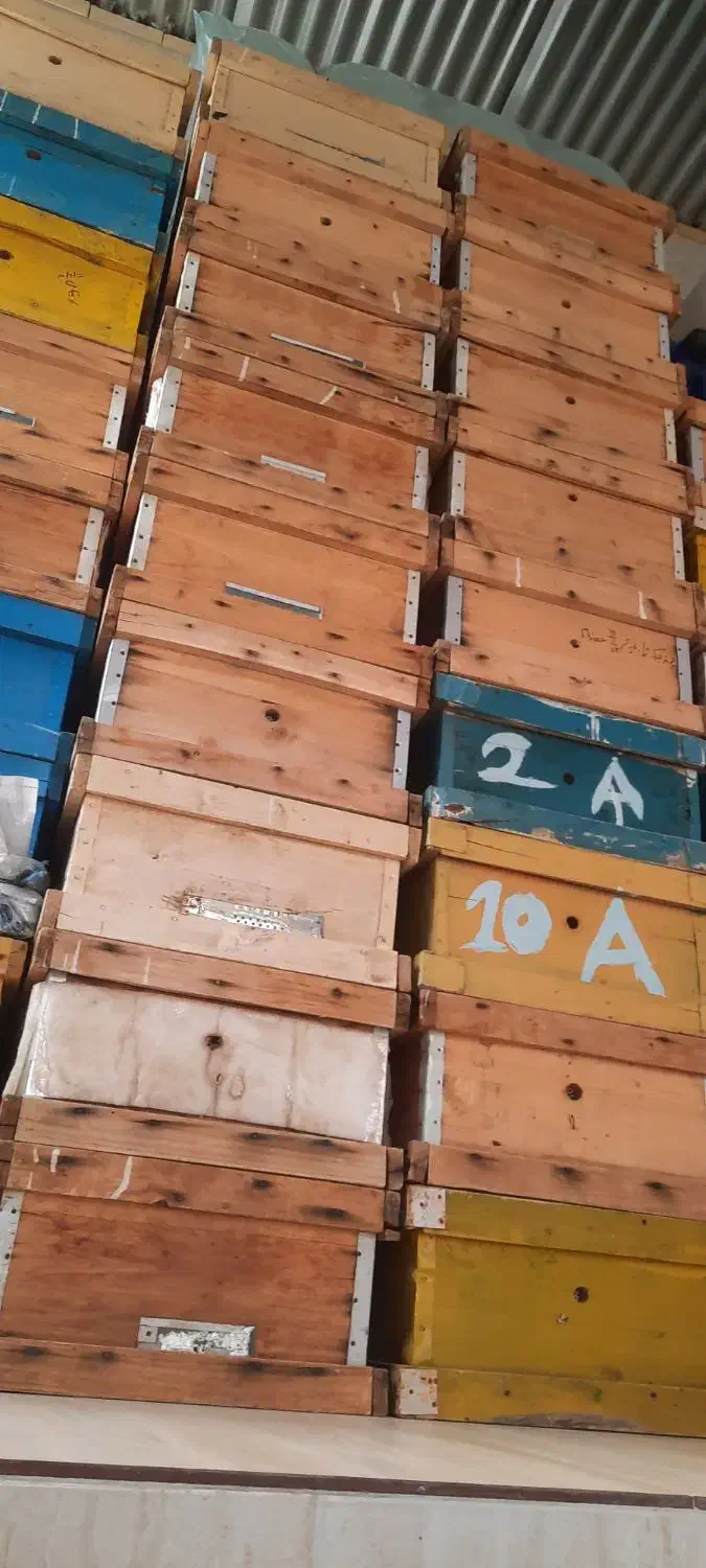 کندو عسل طبق|لوازم جانبی حیوانات|دوگنبدان, |دیوار