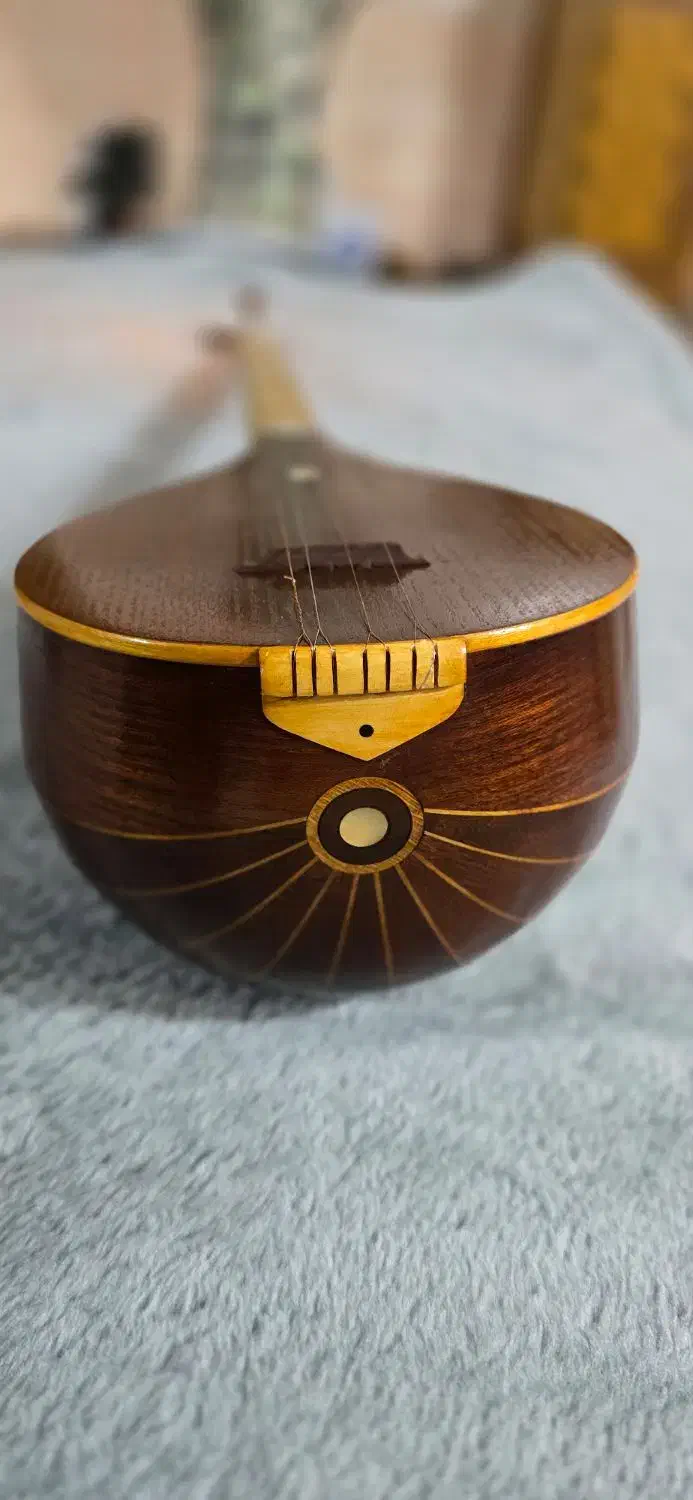 سه تار کاسه کمالیان|سازهای سنتی|لنجان, |دیوار