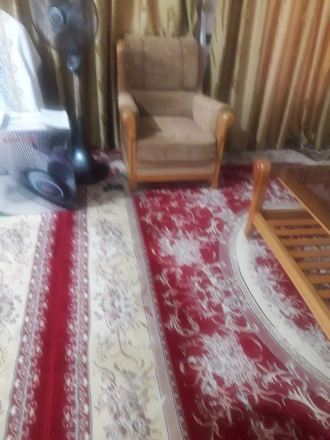 قالی در حد نو|فرش|دزفول, |دیوار