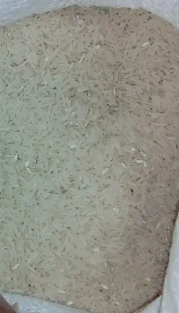 برنج .نیم دانه .لاشه. فجرسوزنی شالیکارم خودم|خوردنی و آشامیدنی|آق قلا, |دیوار