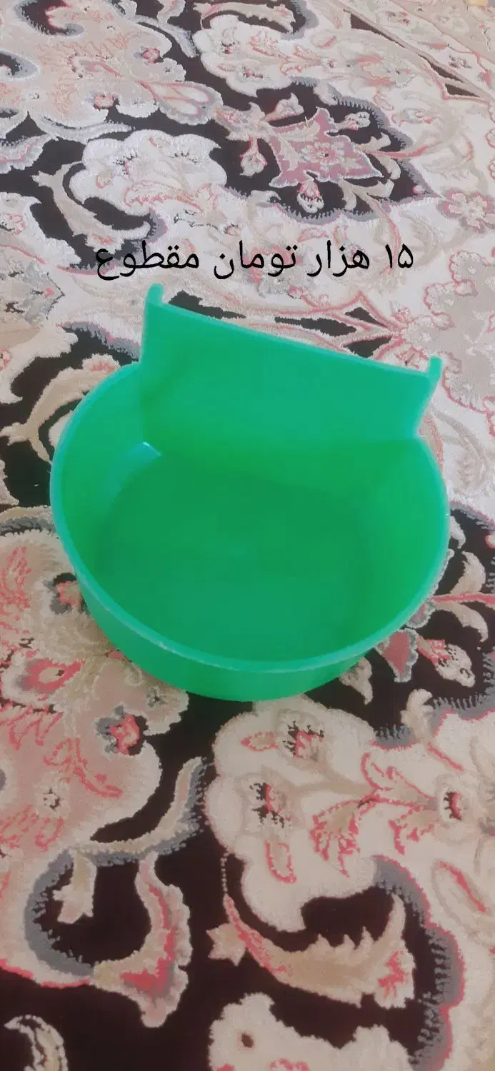 لوازم پرنده|لوازم جانبی حیوانات|مشهد, اروند|دیوار