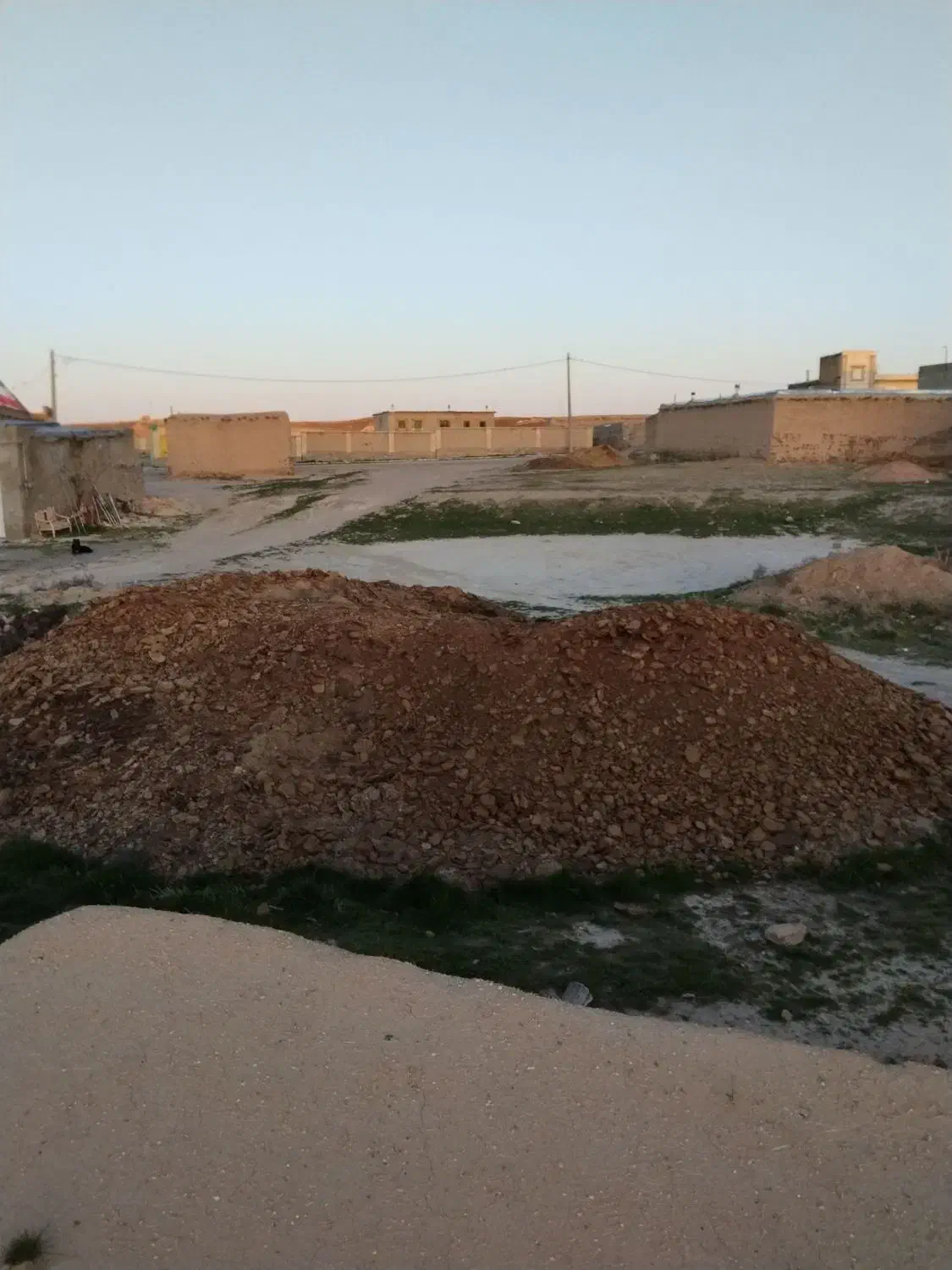 پهن گوسفندی|خدمات باغبانی و درختکاری|گل تپه, |دیوار