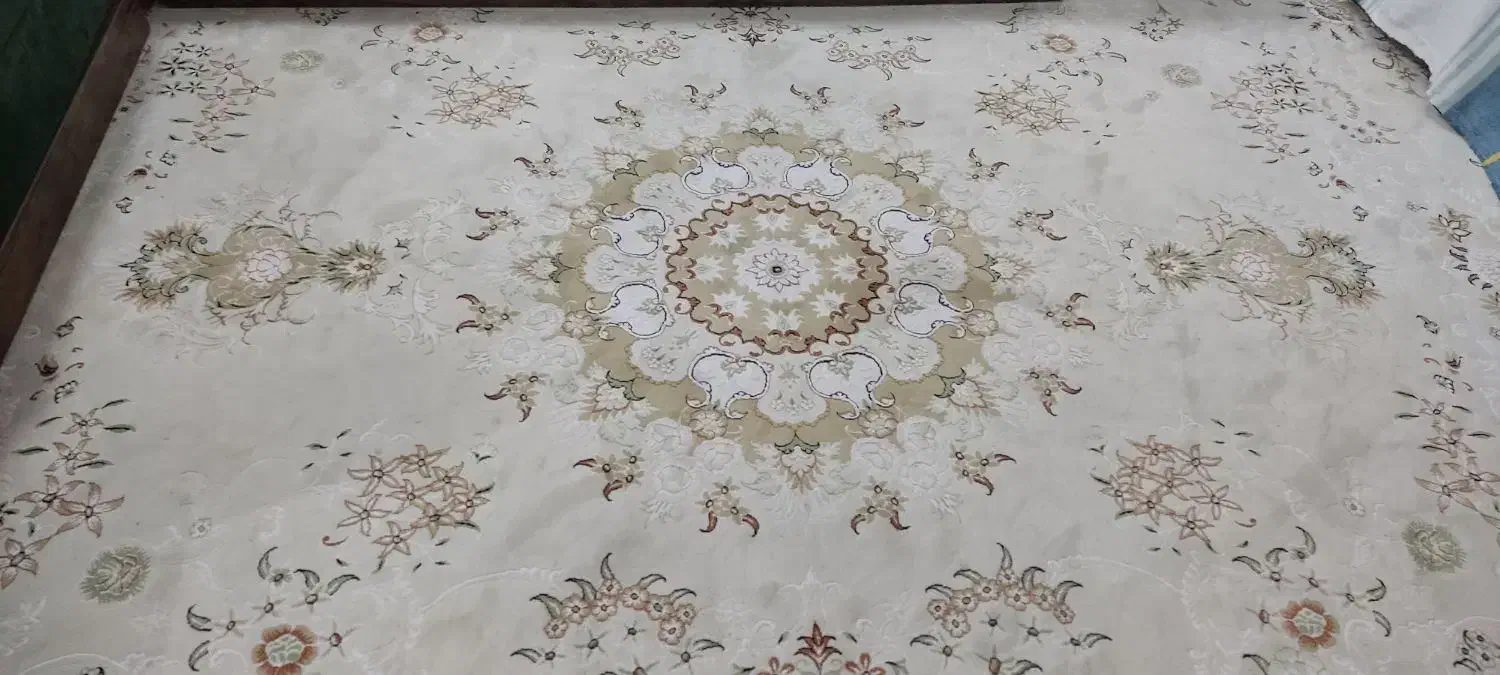 فرش ۱۲ متری|فرش|ساری, |دیوار