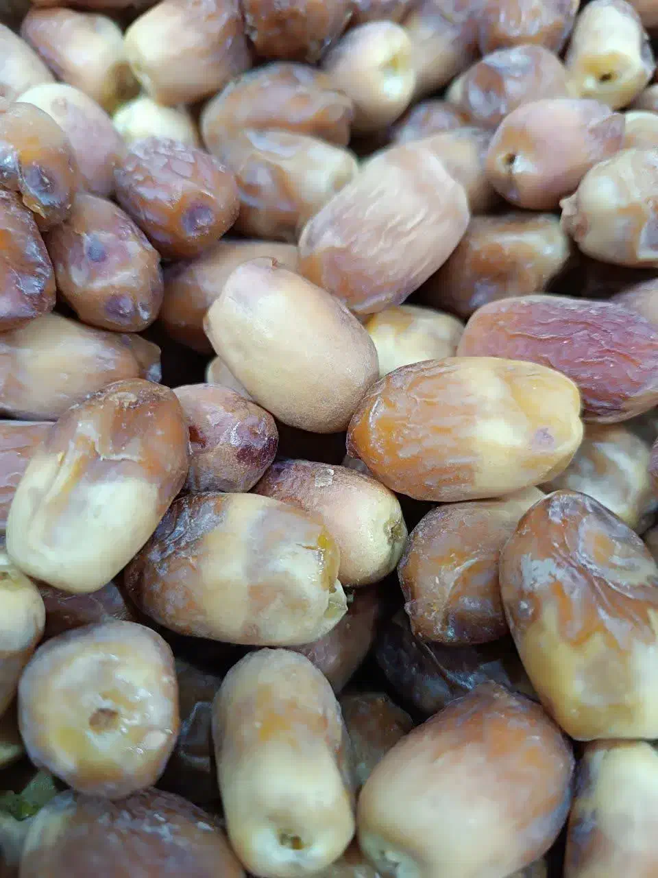 برنج به قیمت عمده|خوردنی و آشامیدنی|قم, شاه سید علی|دیوار