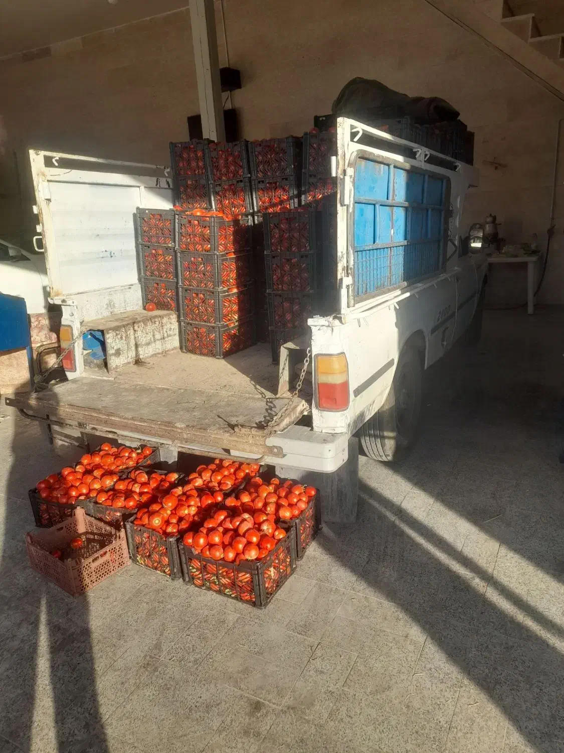 نیسان دوگانه فابریک مدل85|خودرو سواری و وانت|داران, |دیوار