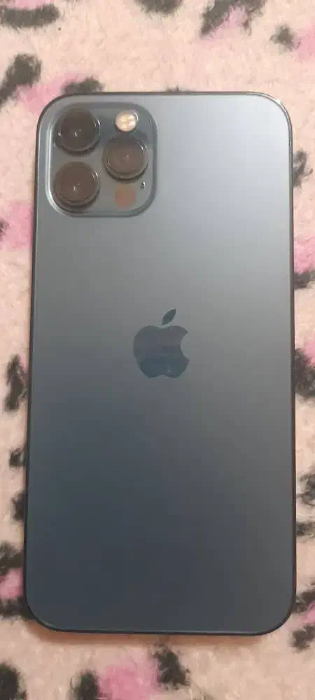 ایفون 12پرو|موبایل|بندرعباس, |دیوار