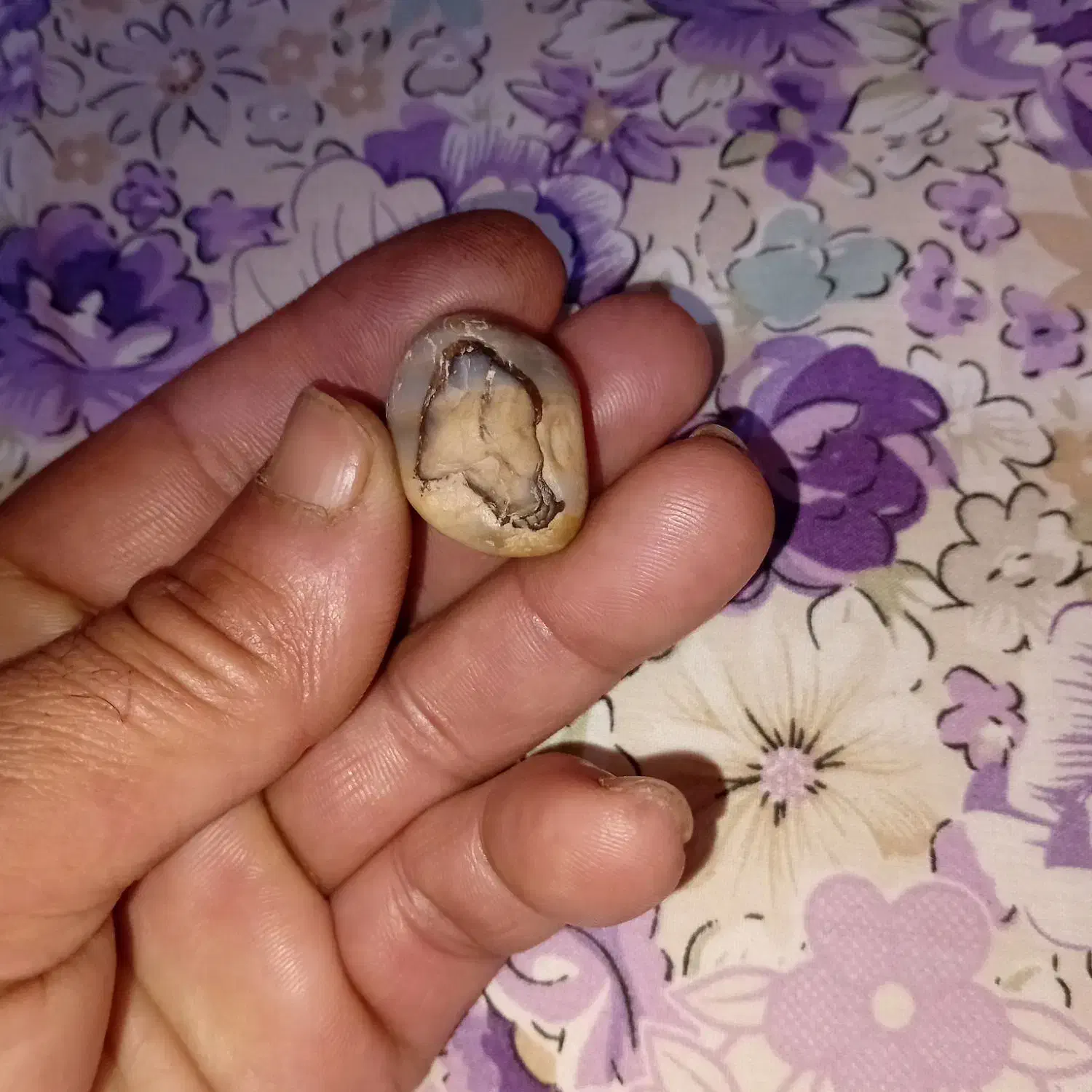 سنگ قدیمی|کلکسیون اشیاء عتیقه|کارون, |دیوار