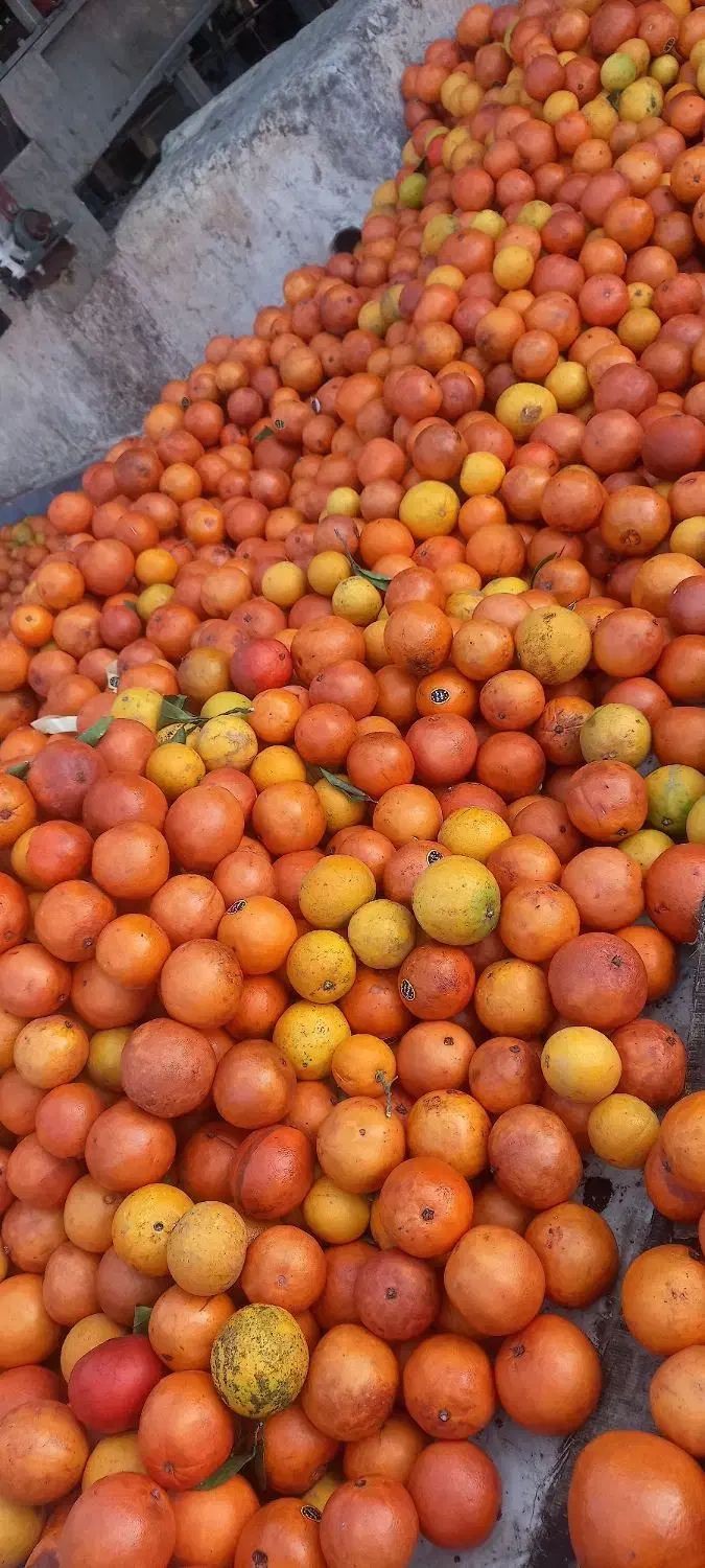 کارگر ساده اپراتور مهندس|استخدام صنعتی، فنی، مهندسی|نشتارود, |دیوار