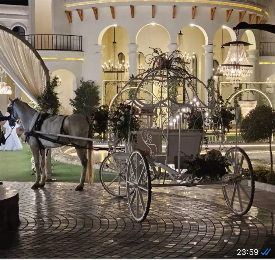 کالسکه ی اسب|اسب و تجهیزات اسب‌سواری|تهران, فردوس|دیوار