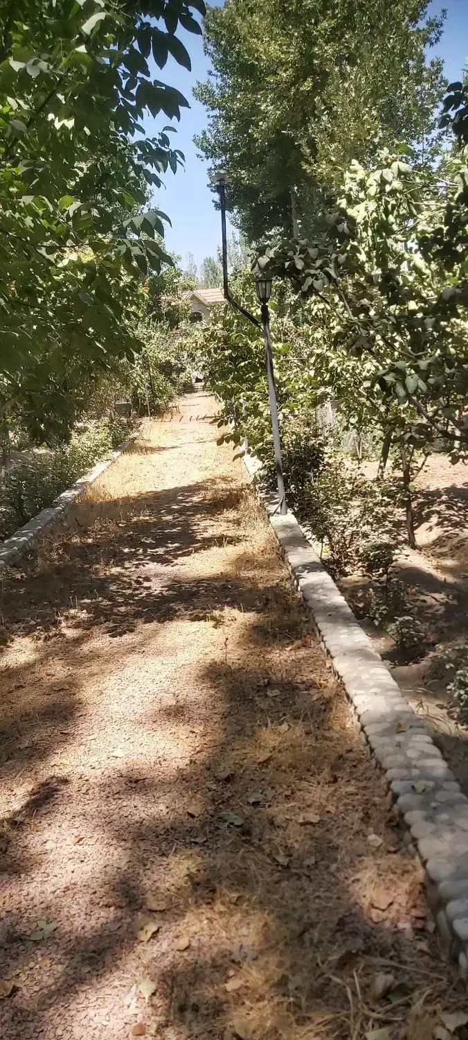 زمین کشاورزی|فروش زمین و ملک کلنگی|فولادشهر, مدیسه|دیوار