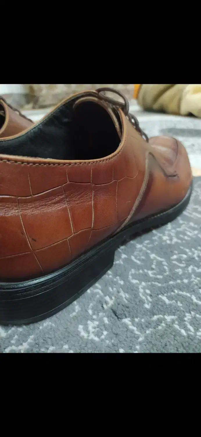 کفش مجلسی چرم|کیف، کفش، کمربند|بافق, |دیوار