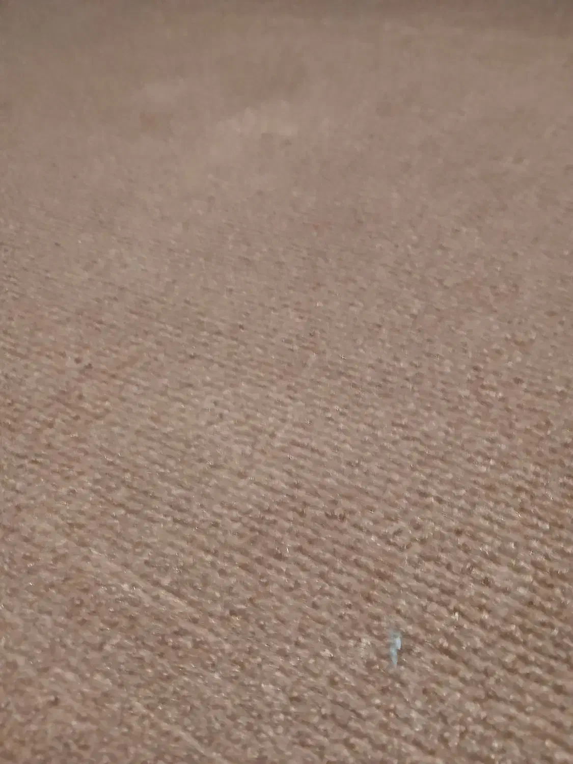 خانه وآشپزخانه|موکت|تهران, مینابی|دیوار