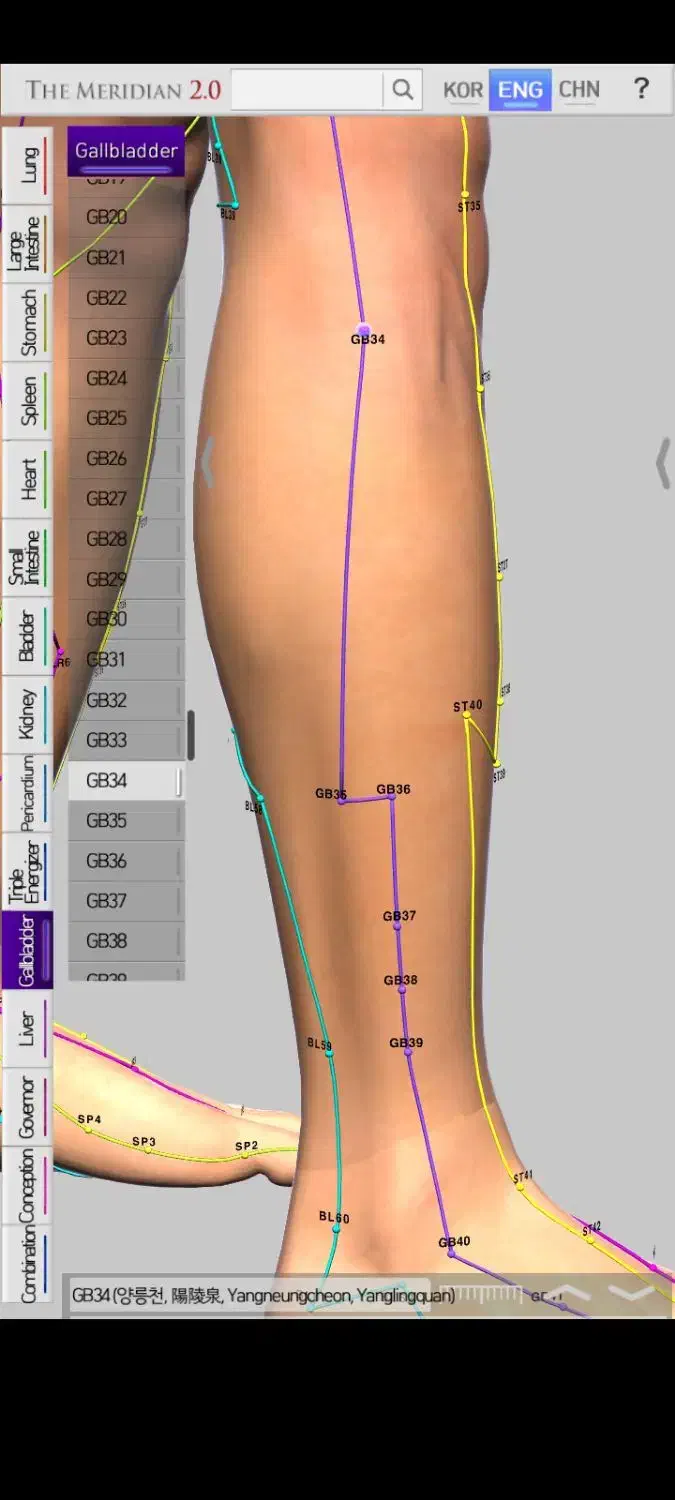 طب سوزنی|خدمات آرایشگری و زیبایی|شیراز, شاه قلی بیگی|دیوار