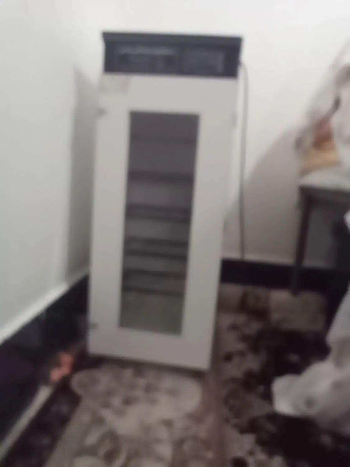 دستگاه جوجه کشی|لوازم جانبی حیوانات|زابل, |دیوار