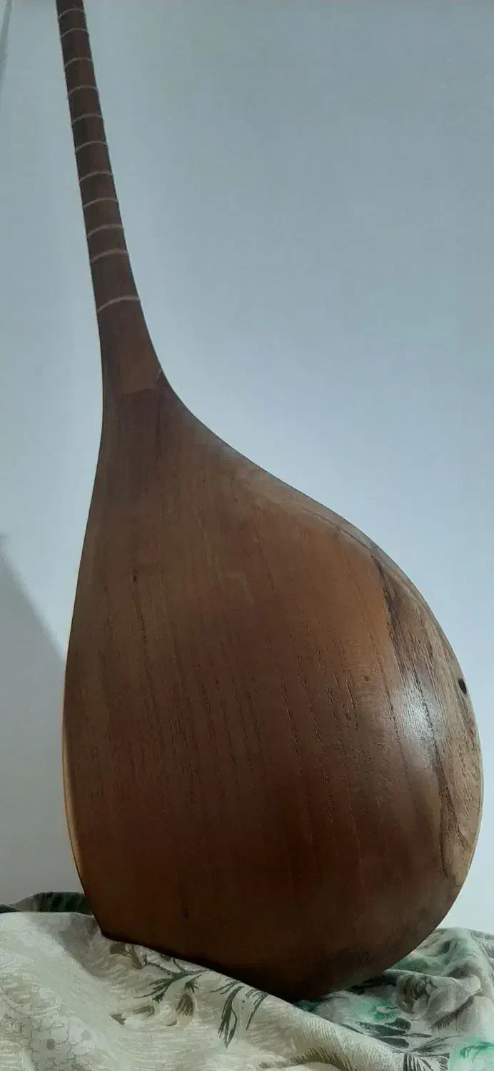 دوتار خوش صدا حرفه ای|سازهای سنتی|شیروان (خراسان), |دیوار