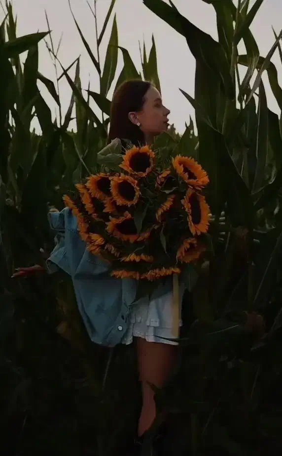 ادمین و تولید محتوا حرفهای عکاسی فیلمبرداری هستم|خدمات رایانهای و موبایل|بیرجند, |دیوار