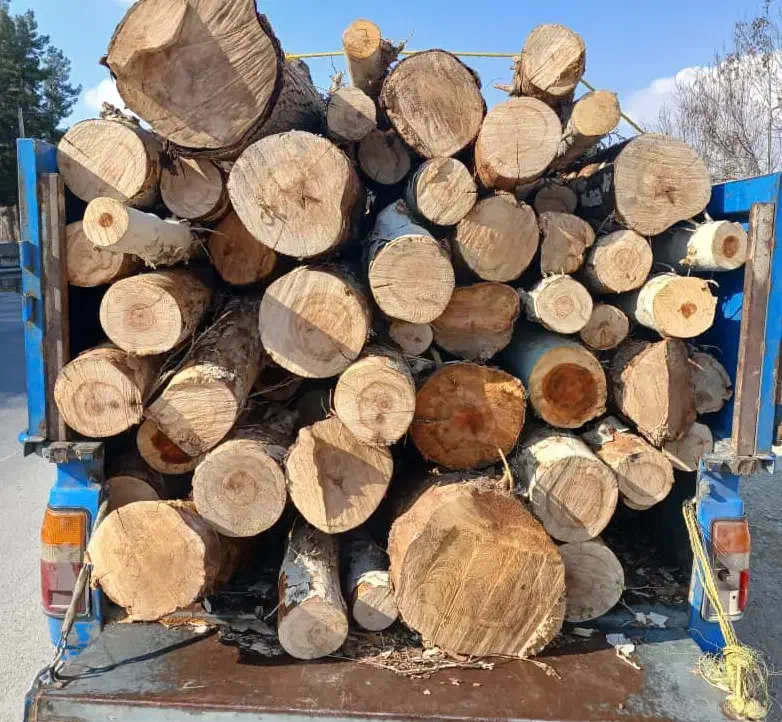 خریدارچوبهای باغی وهرس کردن درخت خ۸خ|خدمات باغبانی و درختکاری|شیراز, کوشک میدان|دیوار