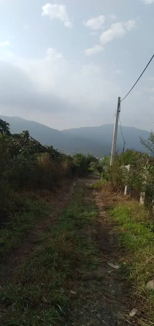 زمین گل کاری و گلخونه|فروش دفتر صنعتی، کشاورزی، تجاری|خرم‌آباد (تنکابن), |دیوار