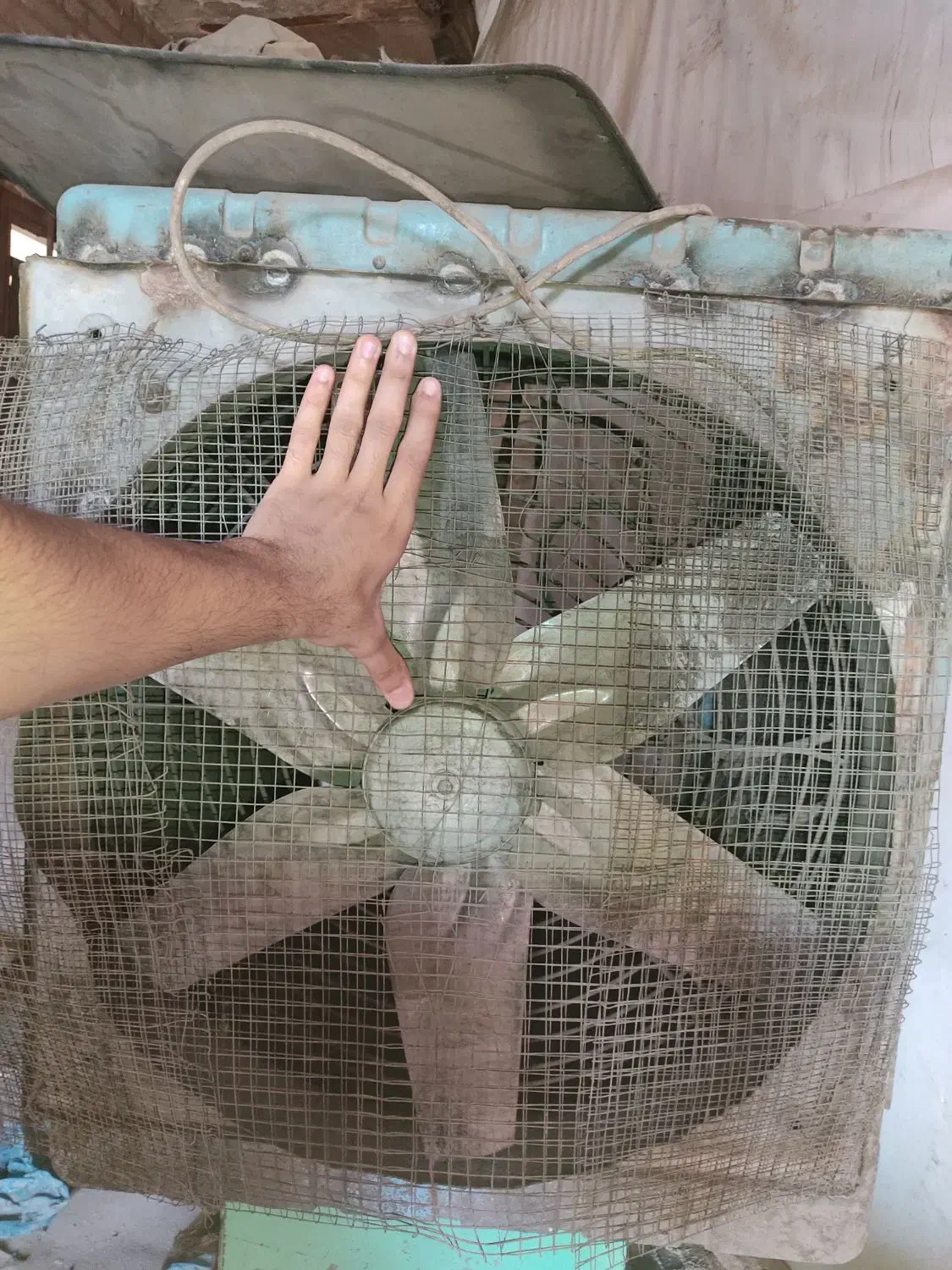 فن بزرگ و کولر ابی|کولر آبی|شوشتر, |دیوار