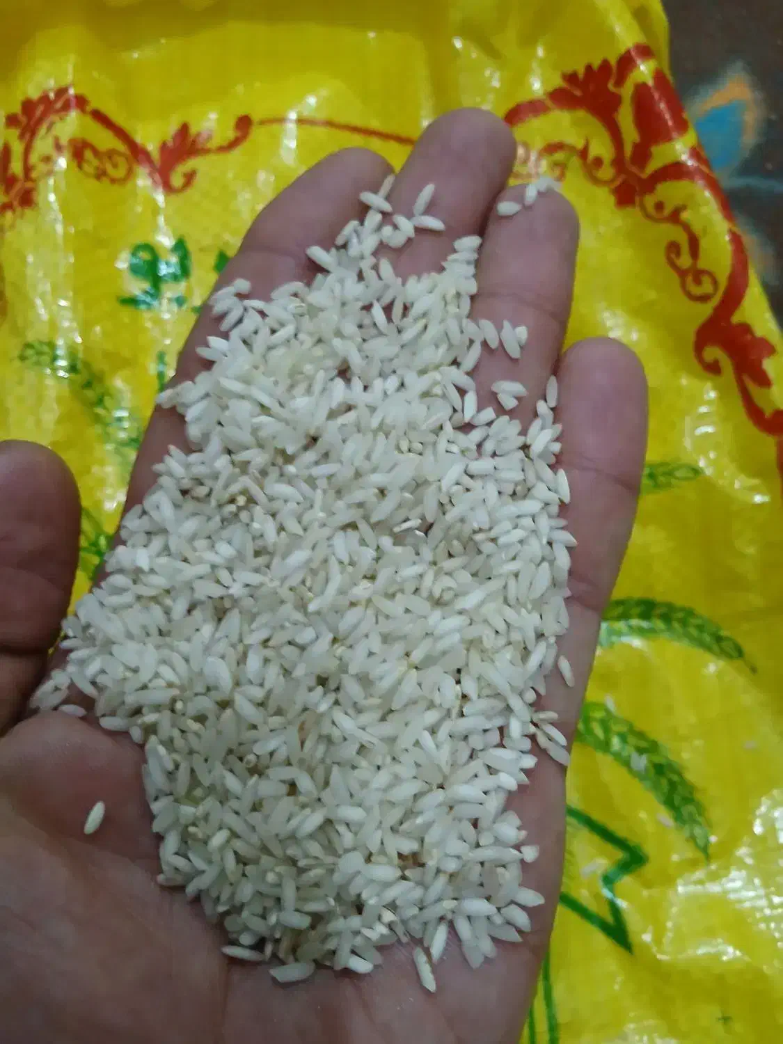 برنج عنبر بوه شوشتر|خوردنی و آشامیدنی|اهواز, سیاحی(سه راه خرمشهر)|دیوار