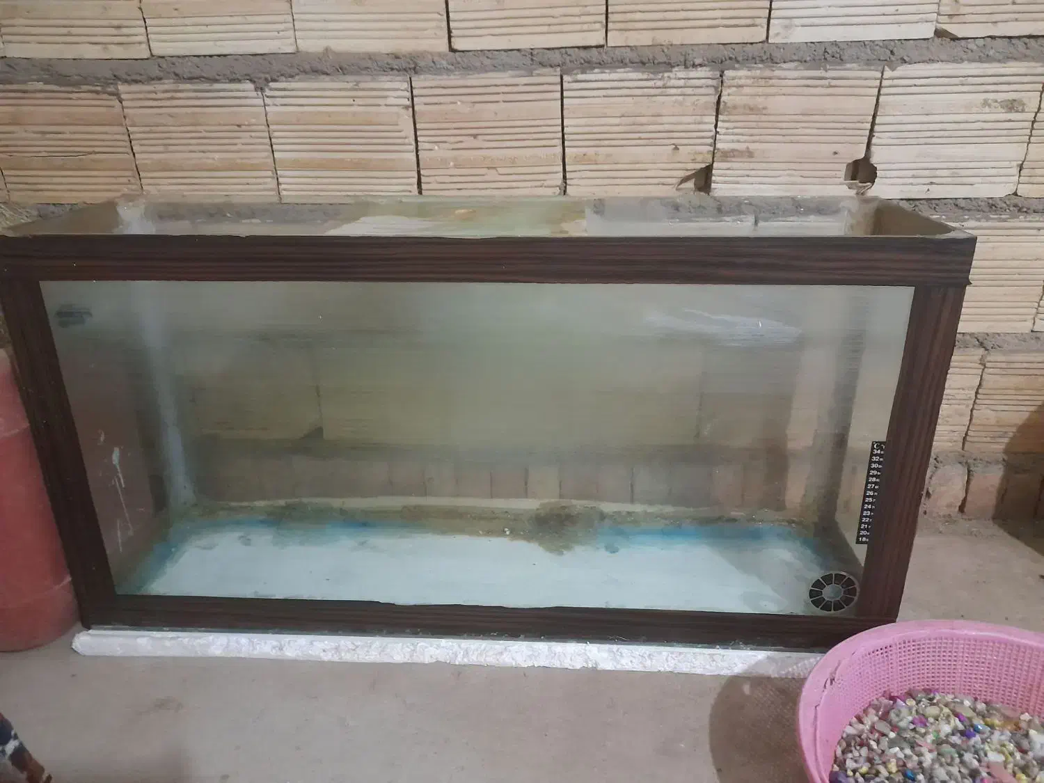 یک عدد اکواریوم|ماهی|سراب, |دیوار