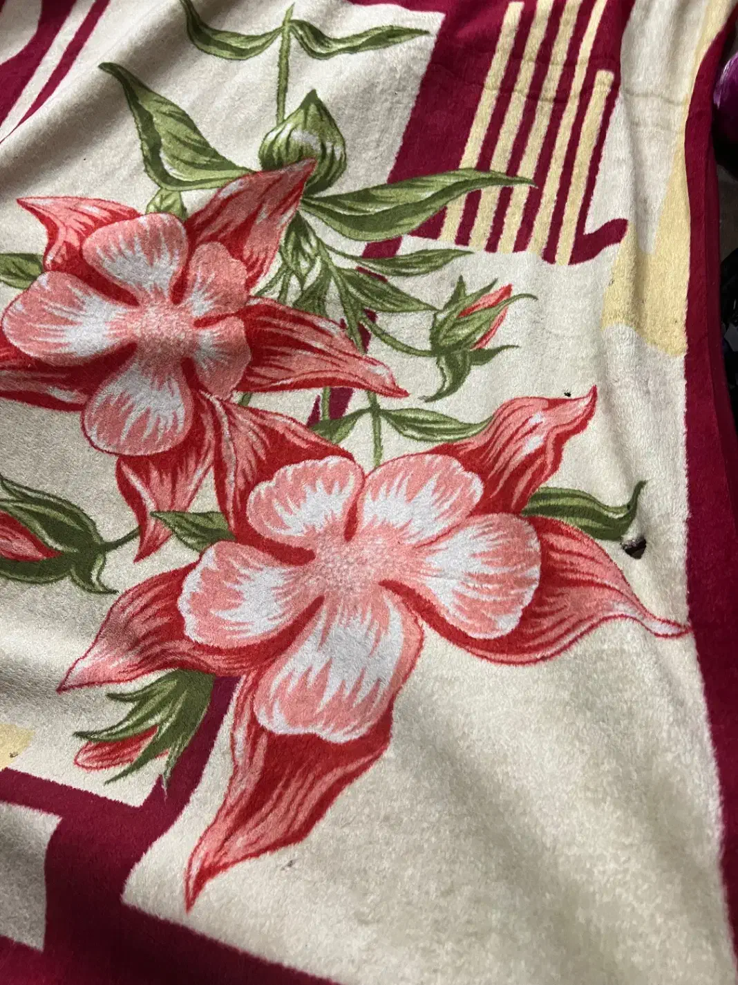 پتو|رختخواب، بالش، پتو|مشهد, آزادشهر|دیوار