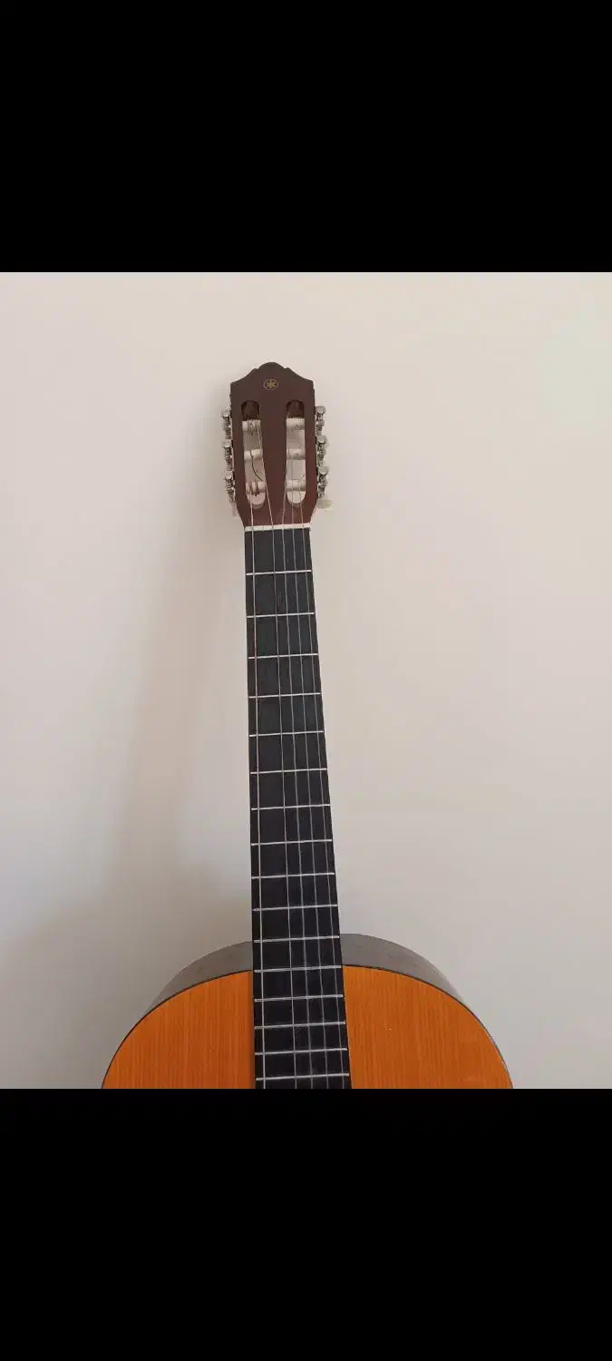 C40 اورجینال|گیتار، بیس، امپلیفایر|فولادشهر, B4|دیوار