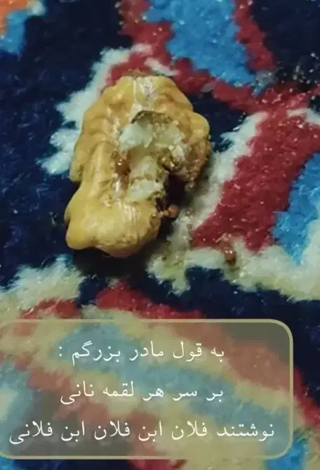 سرمایه گذاری کار های راه اندازی شده برای گسترش کار|فعالیت داوطلبانه|تهران, شهرک ولیعصر شمالی|دیوار