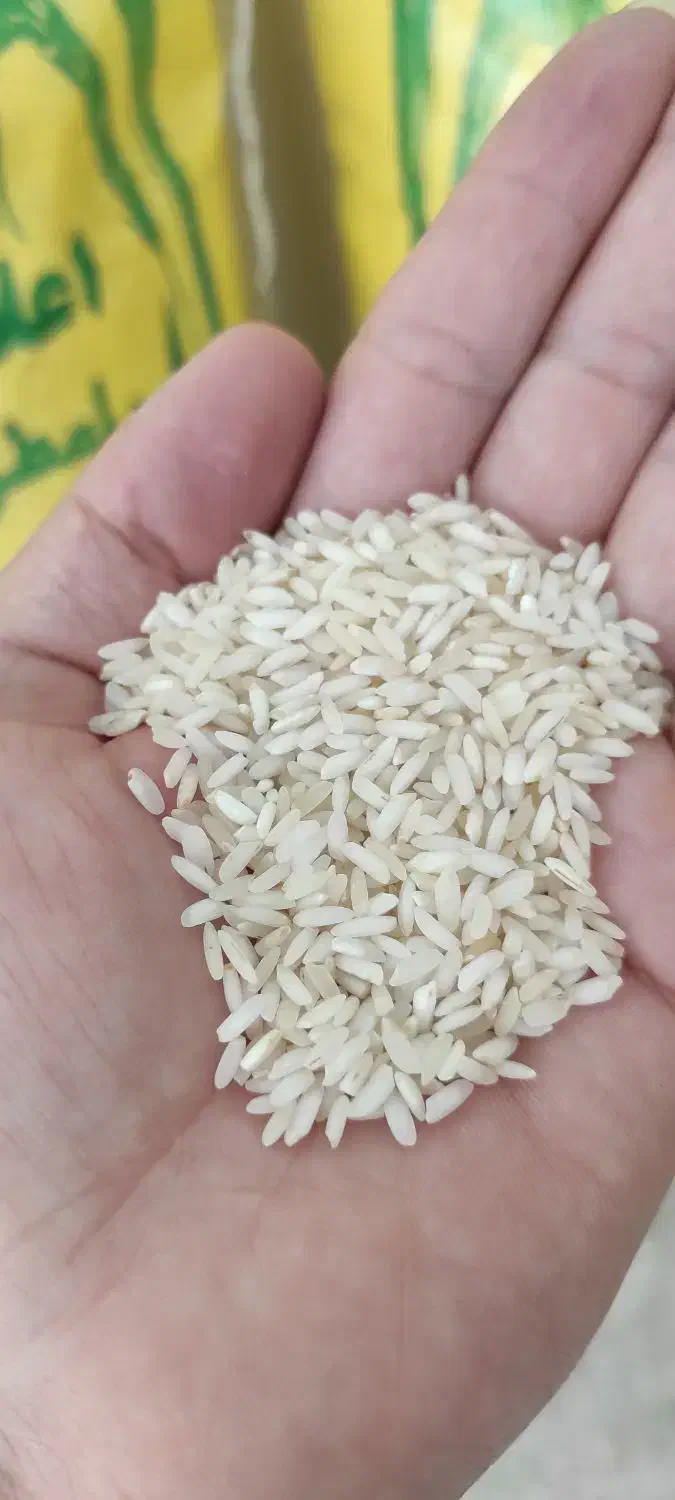 عنبربو درجه یک از زمین‌های خودمون باطعم وعطر عالی|خوردنی و آشامیدنی|تهران, بهداشت|دیوار