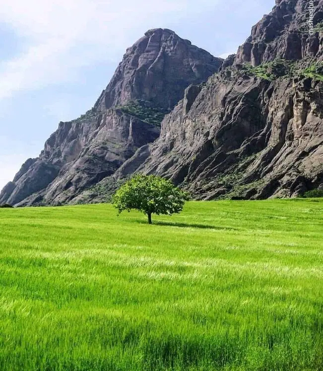 طبیعت گردی|تور و چارتر|مشهد, هنرستان|دیوار