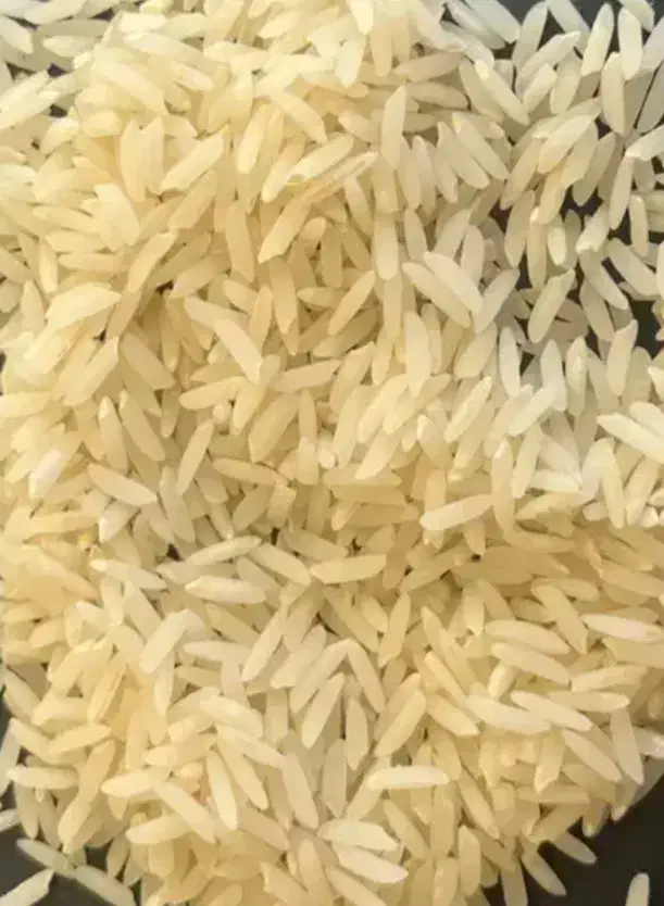 برنج هاشمی زرد دم دو الکه|خوردنی و آشامیدنی|رشت, صفاری|دیوار