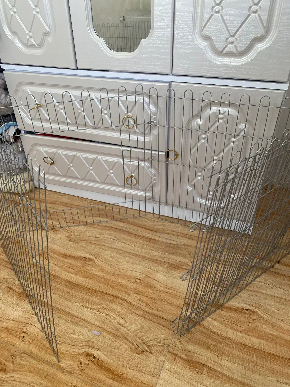 پارک سگ|لوازم جانبی حیوانات|اردبیل, |دیوار