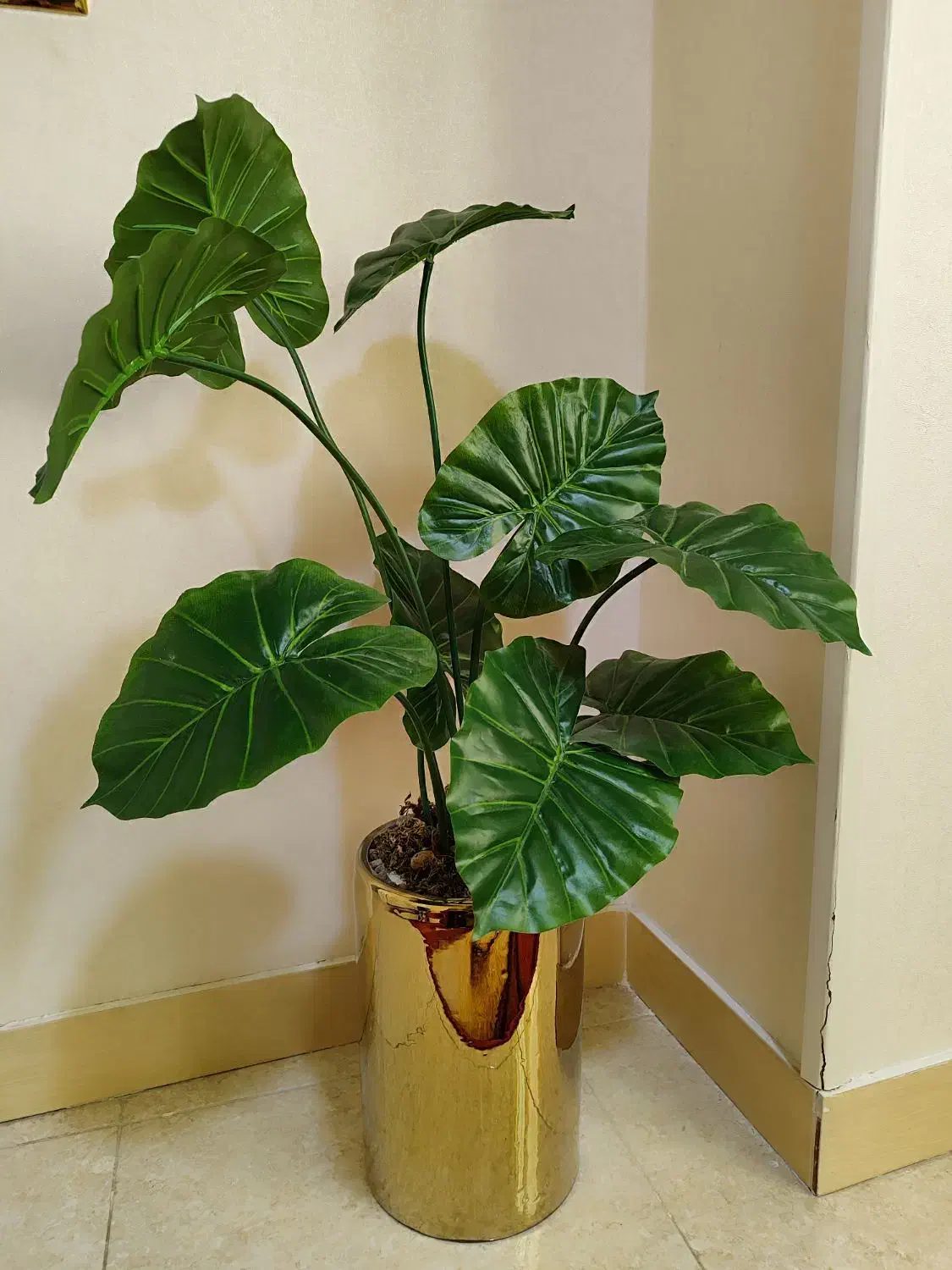 گل وگلدان زیبا|گل مصنوعی|کرج, حیدرآباد|دیوار