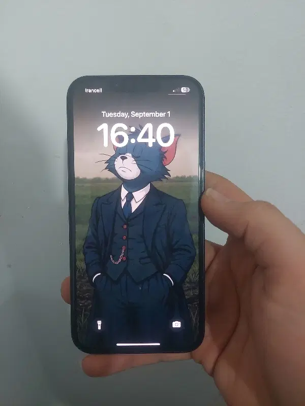 iphone 13|موبایل|قشم, |دیوار